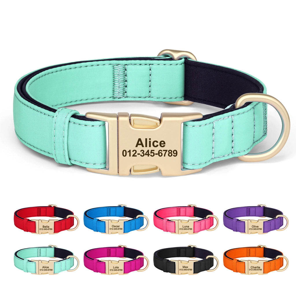 Personalized Dog Collar - Nylon