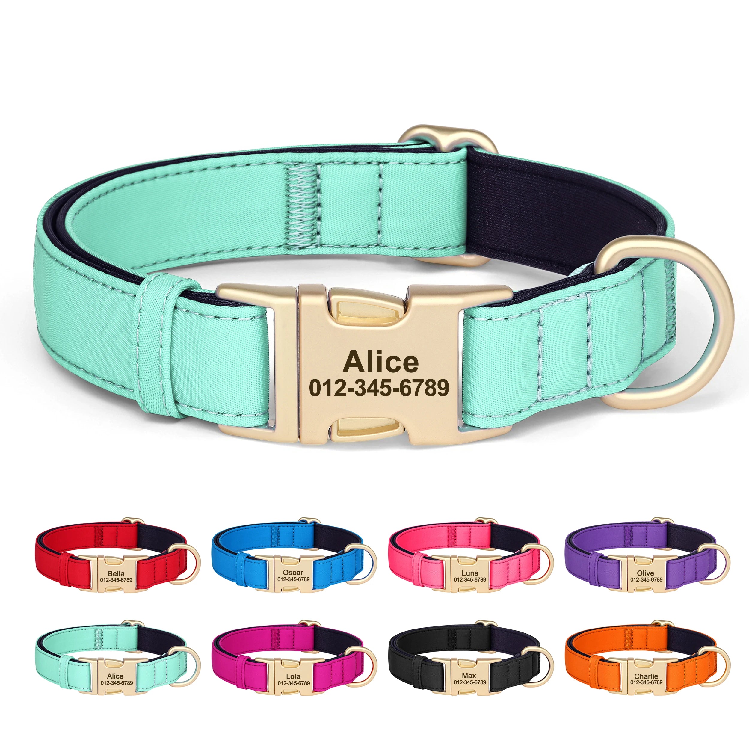 Personalized Dog Collar - Nylon