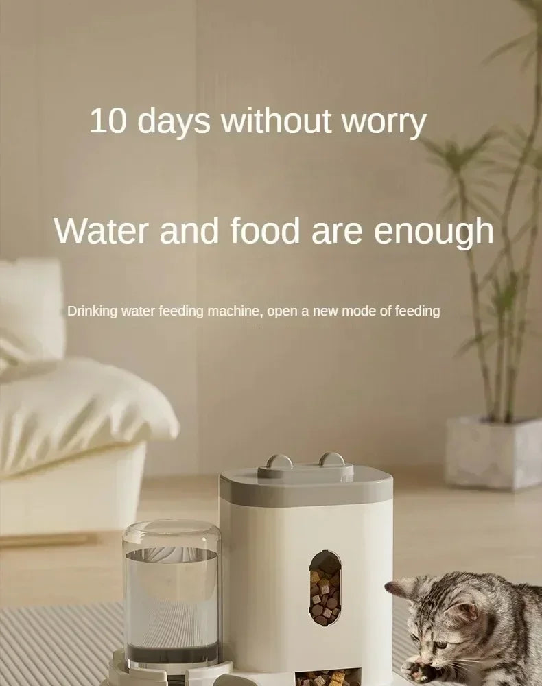 Automatic Feeder Food Bowl With Water Fountain