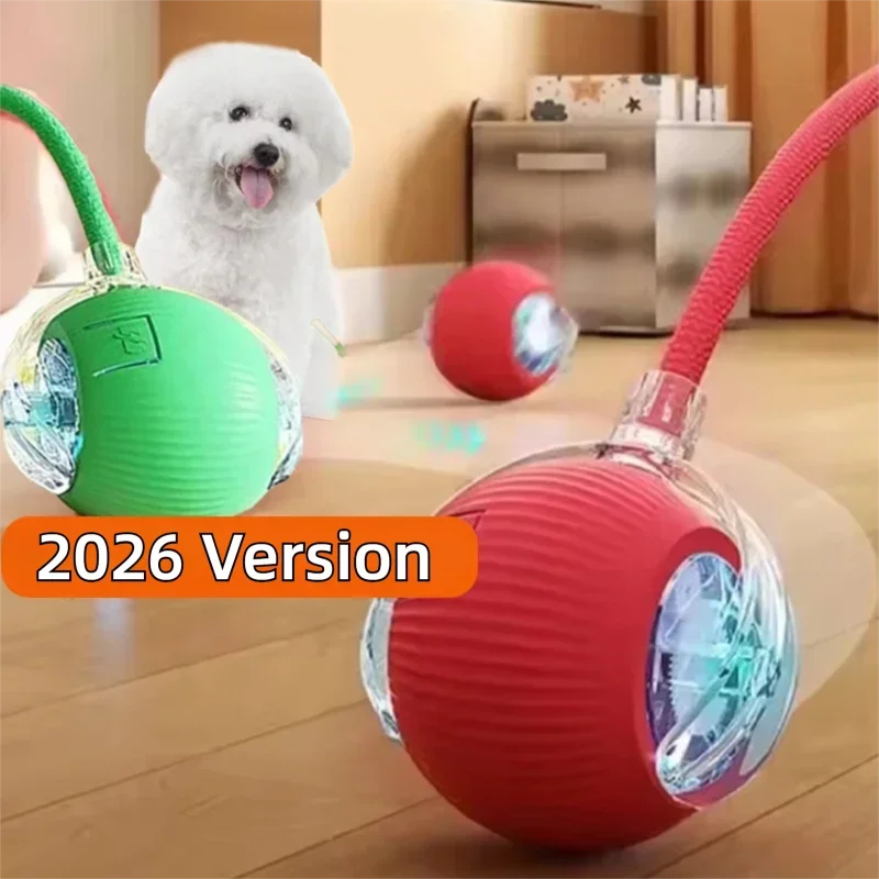 Interactive Dog Ball