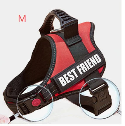 Custom Dog Harness