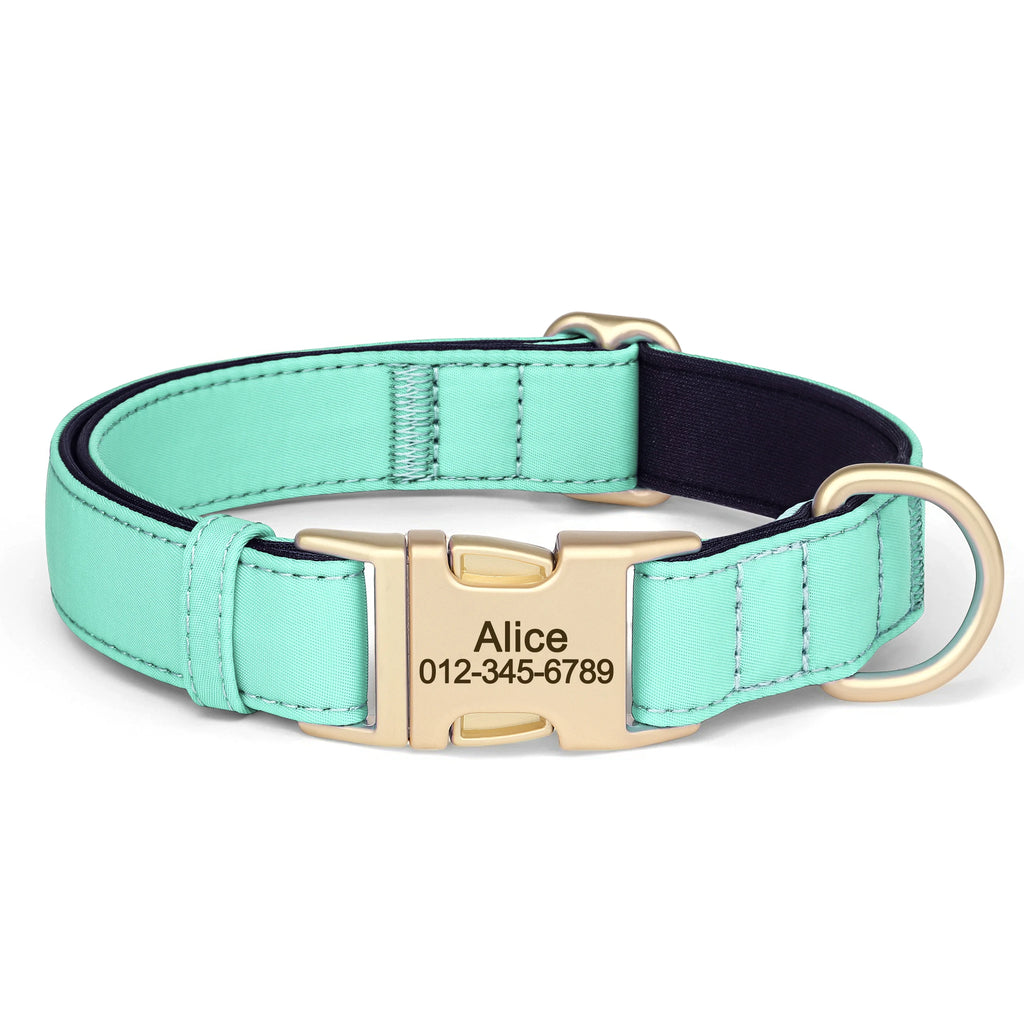 Personalized Dog Collar - Nylon