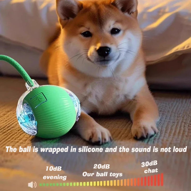 Interactive Dog Ball