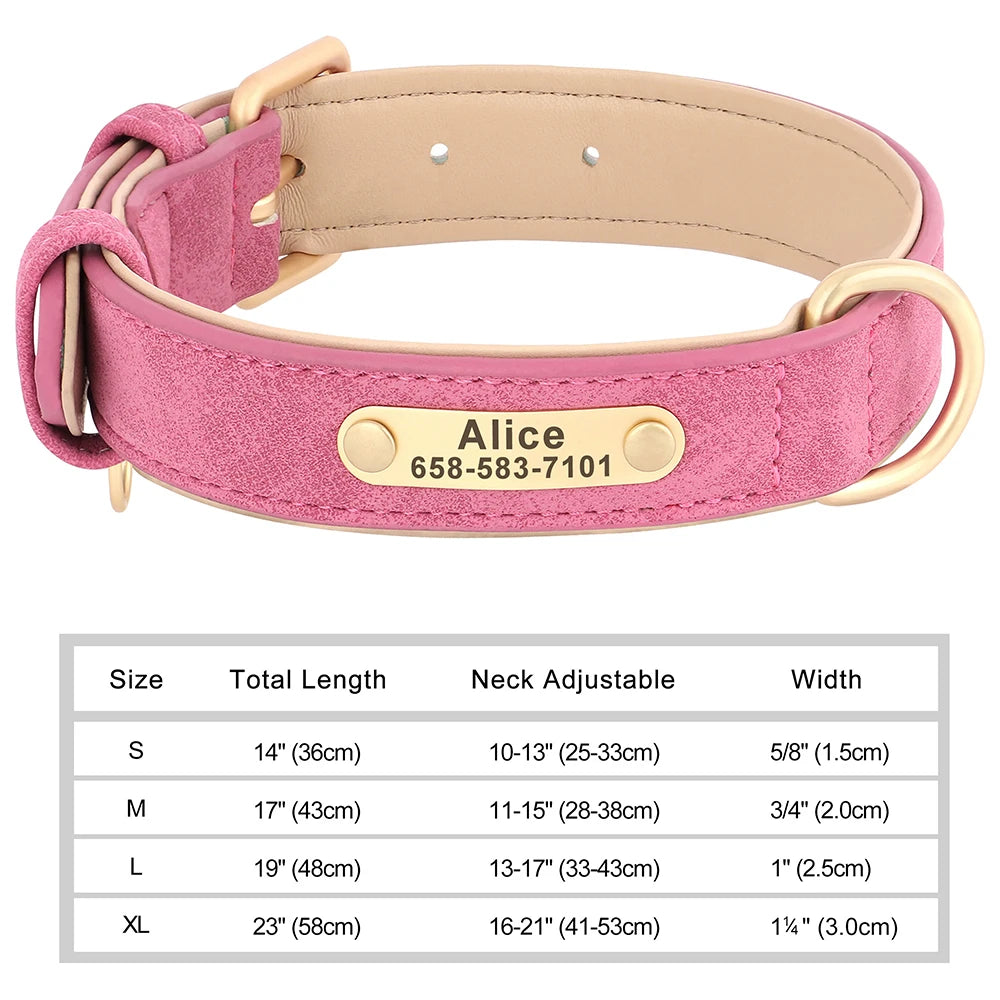 Personalized Dog Collar