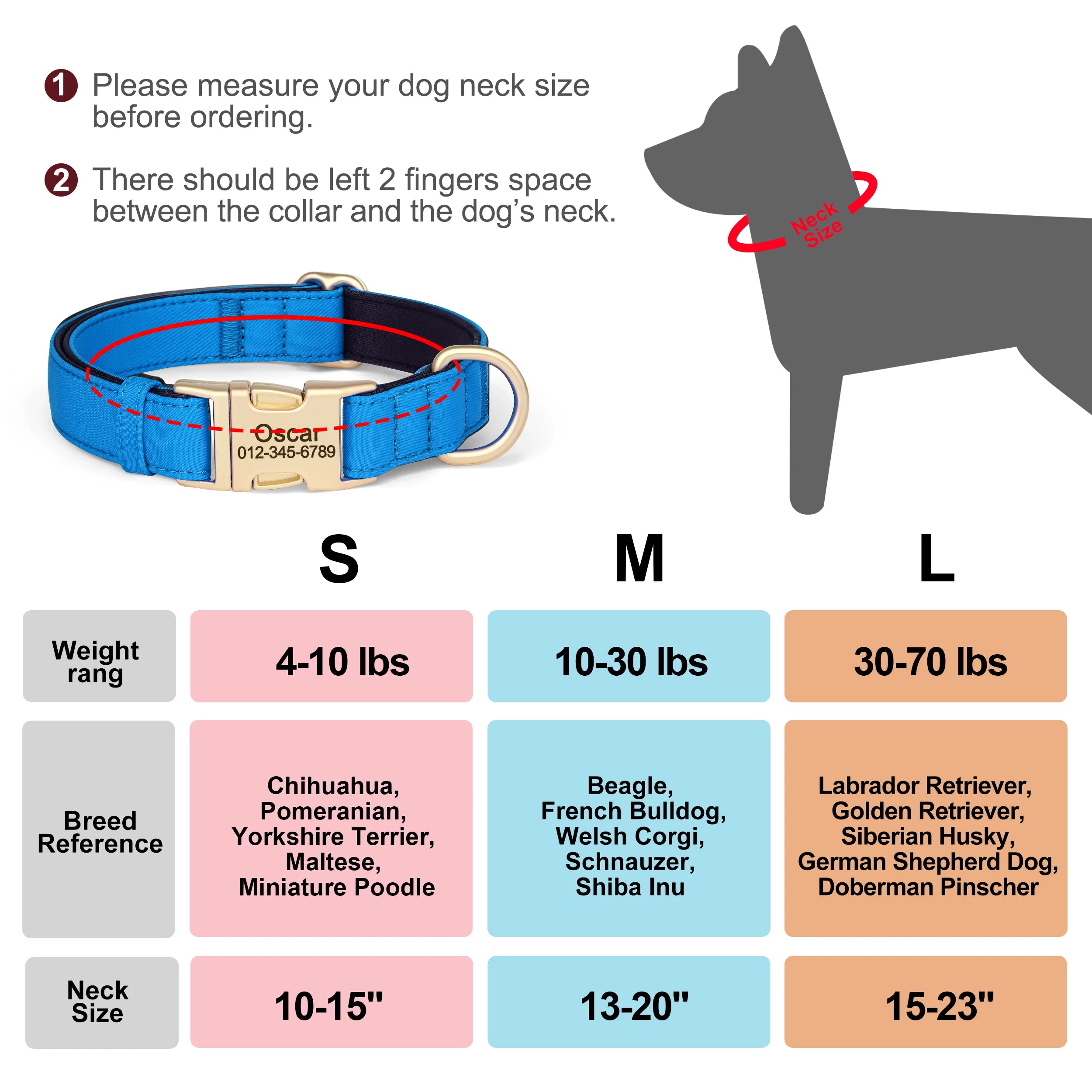 Personalized Dog Collar - Nylon