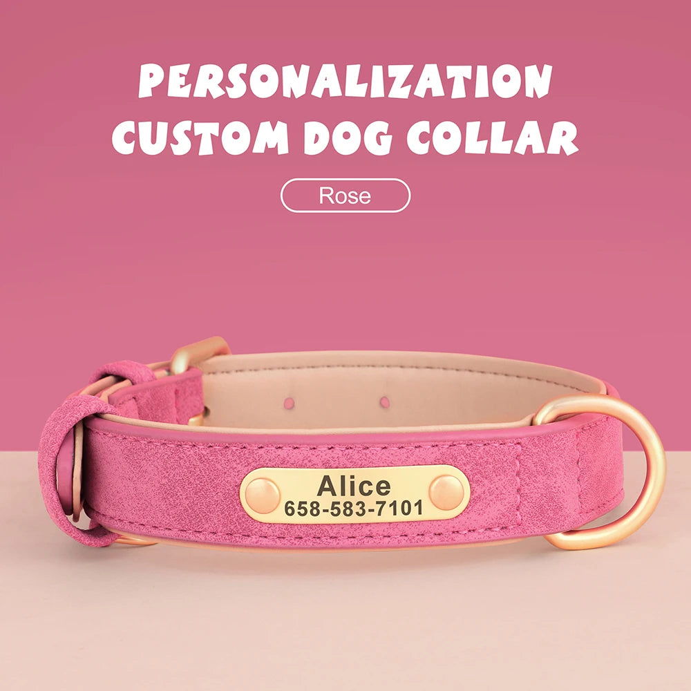 Personalized Dog Collar