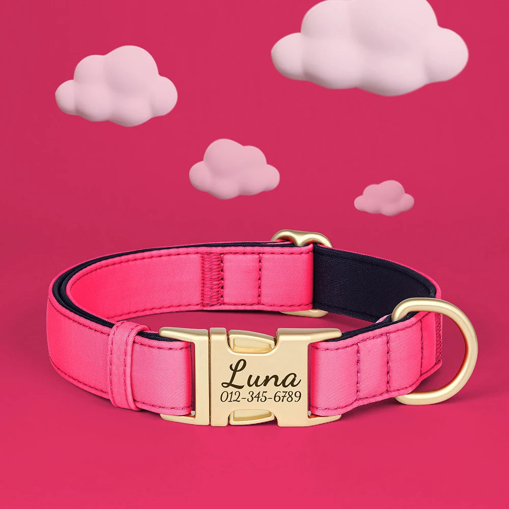 Personalized Dog Collar - Nylon