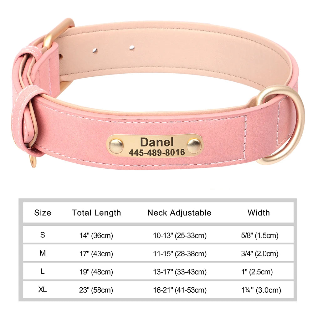 Personalized Dog Collar