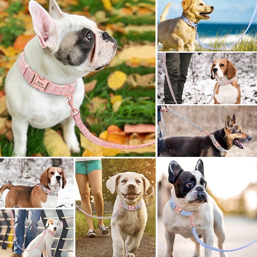 Personalized Dog Collar Nylon