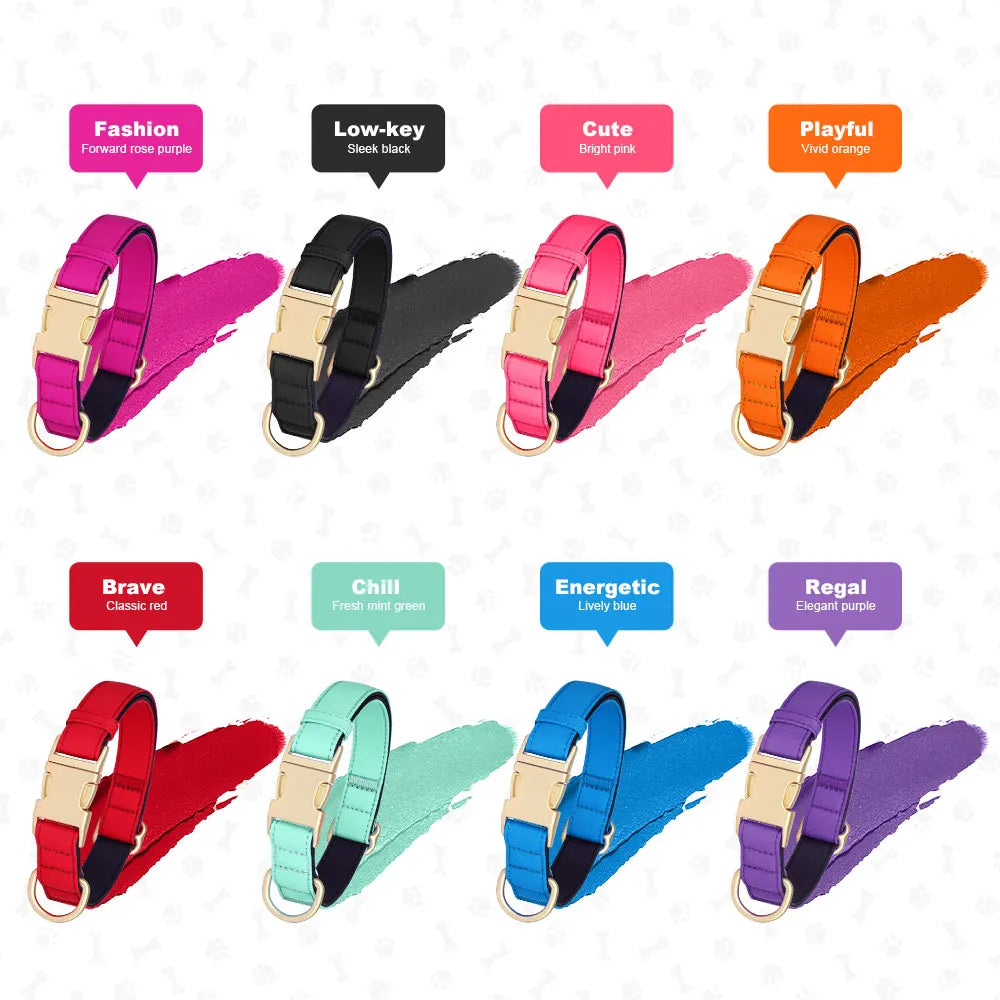 Personalized Dog Collar - Nylon