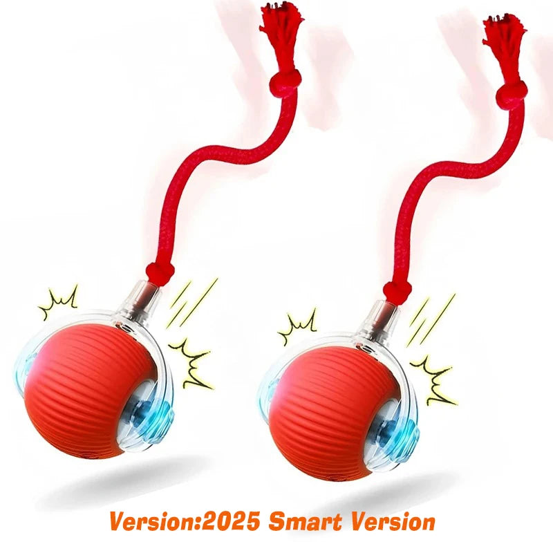 Interactive Dog Ball