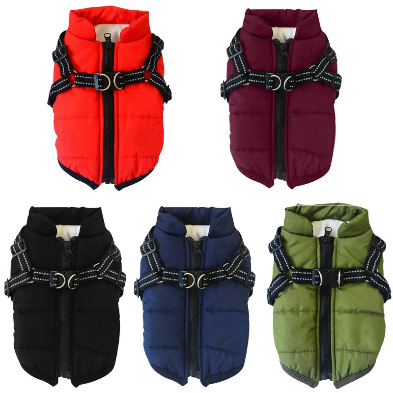 Waterproof Pet Jacket with Built-In Harness
